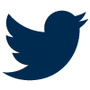 icono azul twitter